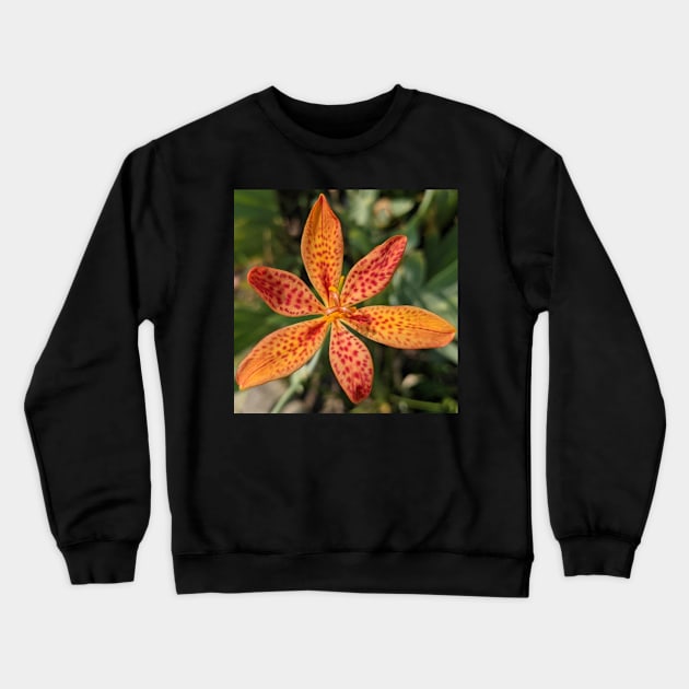 Spotted Orange Flower Photographic Image Crewneck Sweatshirt by AustaArt